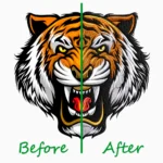 Embroidery Digitizing Service