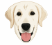Embroidery Digitizing Services in USA